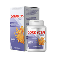 Cordyceps Pulse FR high